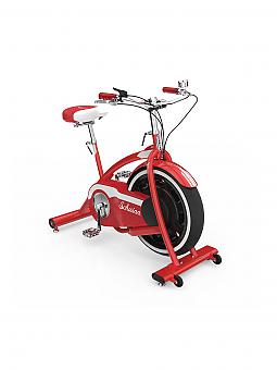 Schwinn classic cruiser exercise bike online